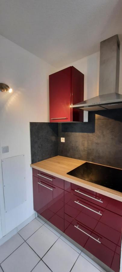 T3 Entierement Renove - 5 Couchages Leilighet Lourdes Eksteriør bilde